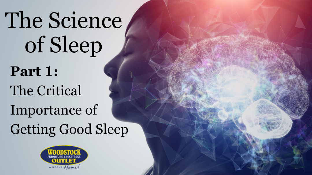 The Science of Sleep, Part I | The Critical Importance of Getting Good Sleep